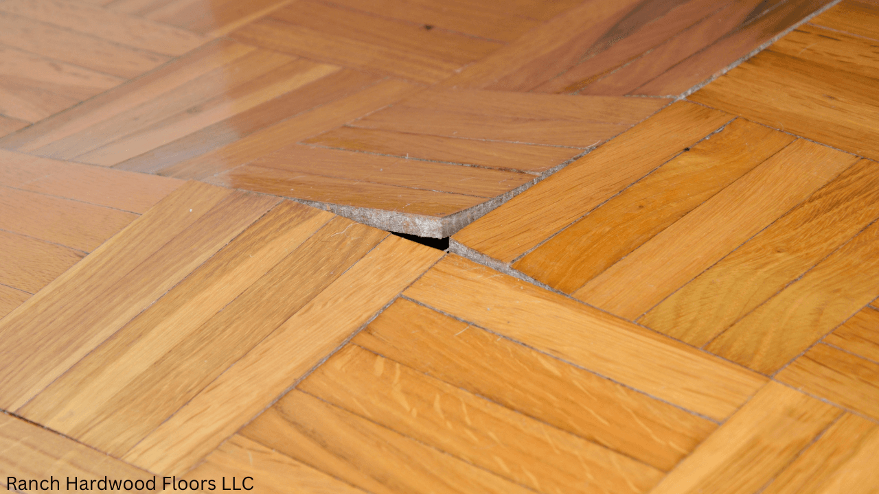 Water Damage Recovery